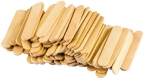 STEM Basics: Mini Craft Sticks                                                                      