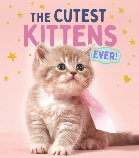 The Store - Cutest Kitten Ever - Book - The Store