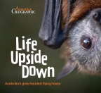 LIFE UPSIDE DOWN