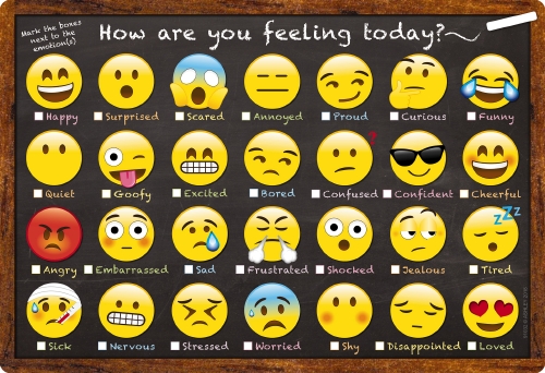 The Store - HOW ARE YOU FEELING POLY CHART - Teacher Resource - The Store