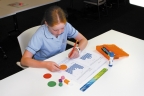 Traffic Light Discs Self-Assessment Tool